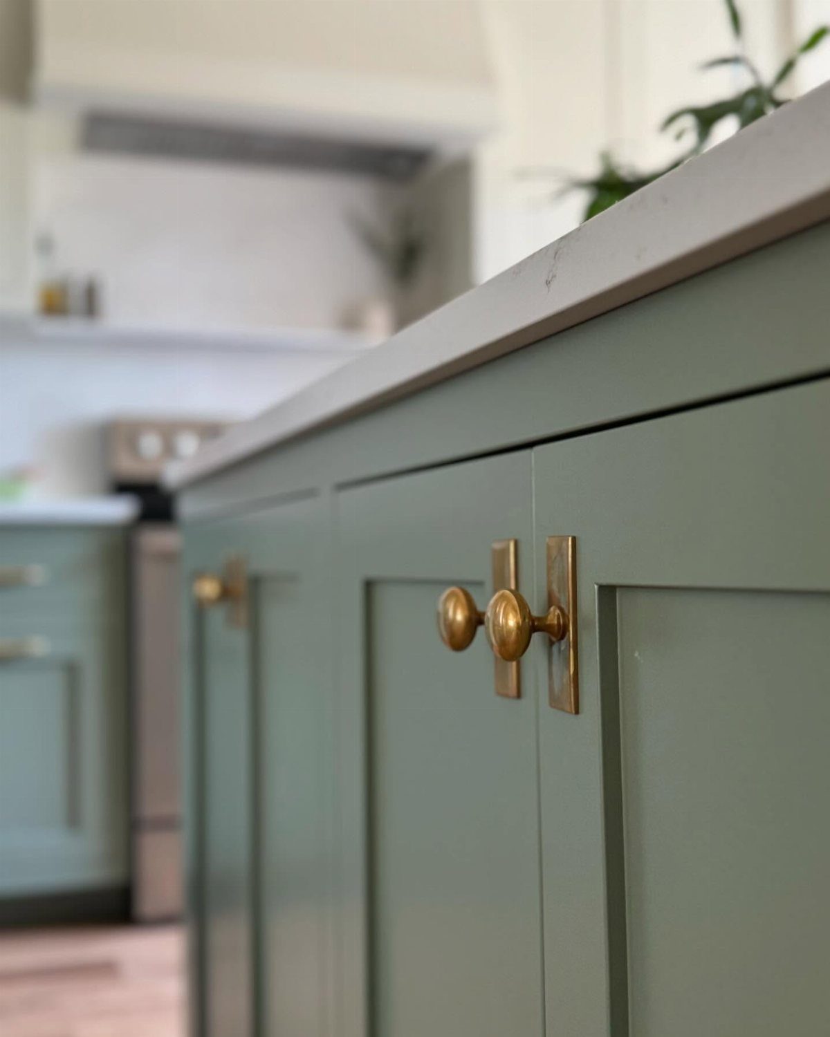 Brass cabinet hardware knobs on sage green kitchen cabinets with a gray countertop.