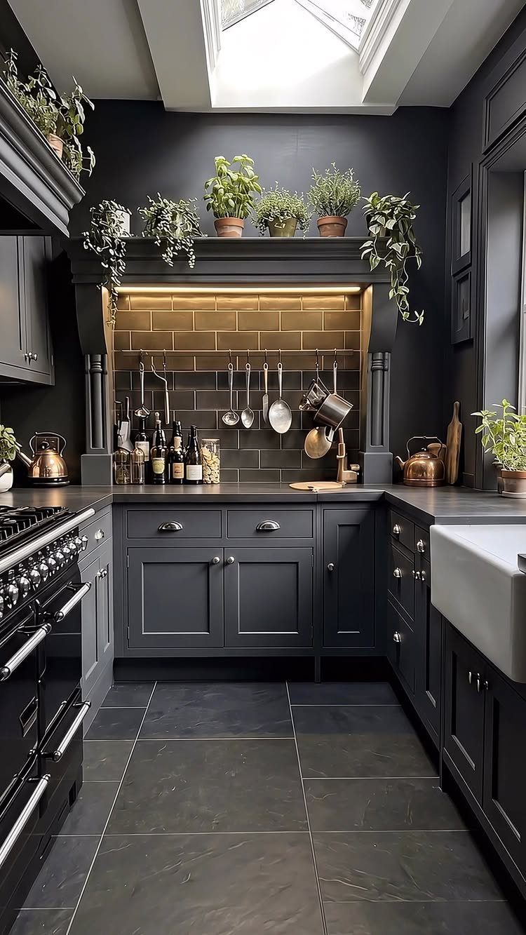 17 Remodeling Old House Ideas for Kitchens, Baths, Offices 11 Dark grey kitchen with gold backsplash, potted plants, and a white farmhouse sink.