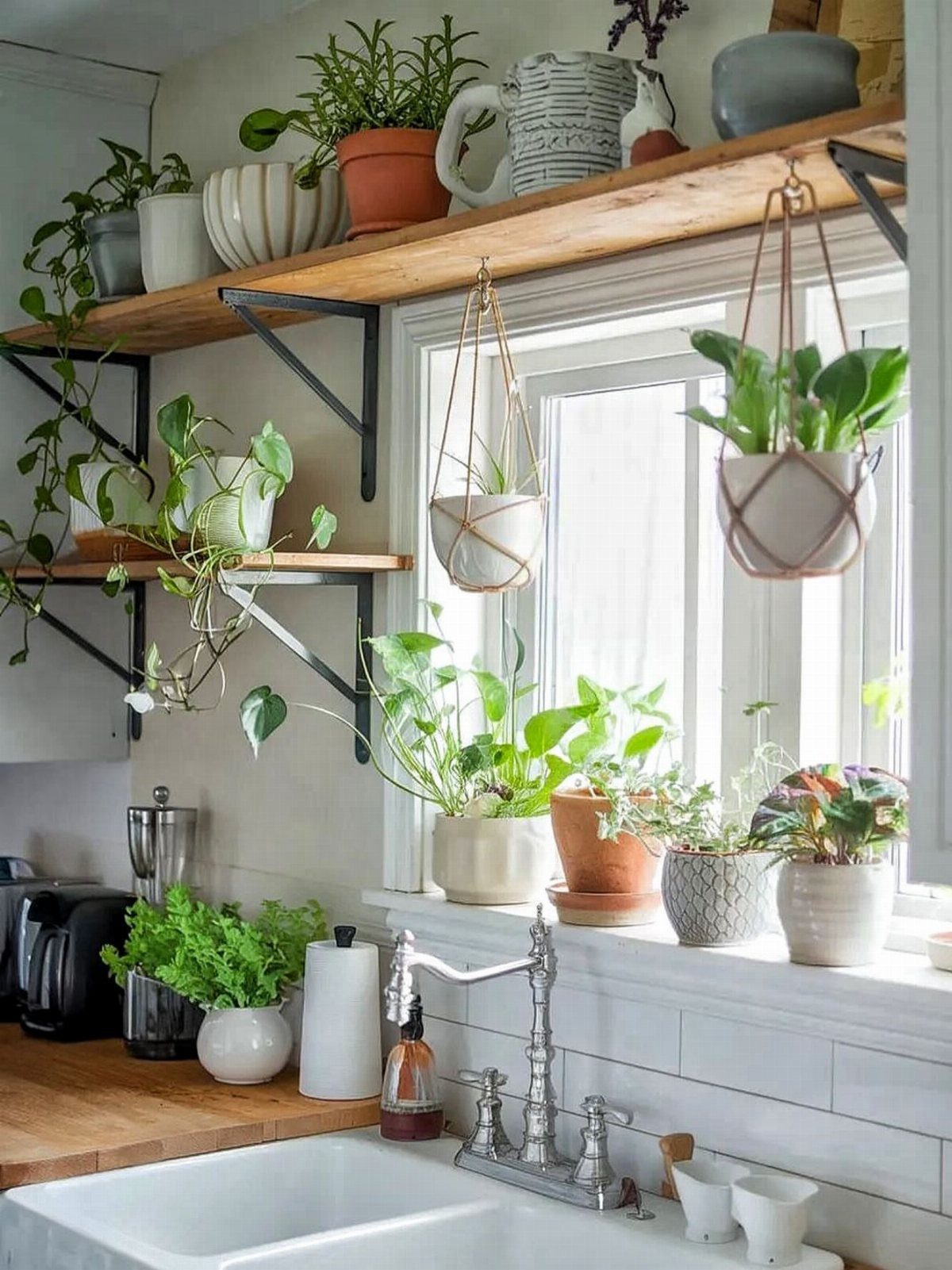 UK Kitchen Ideas Green: 21 Cabinet, Tile and Worktop Looks 8 Potted green plants on rustic wooden open shelves and a white kitchen windowsill.